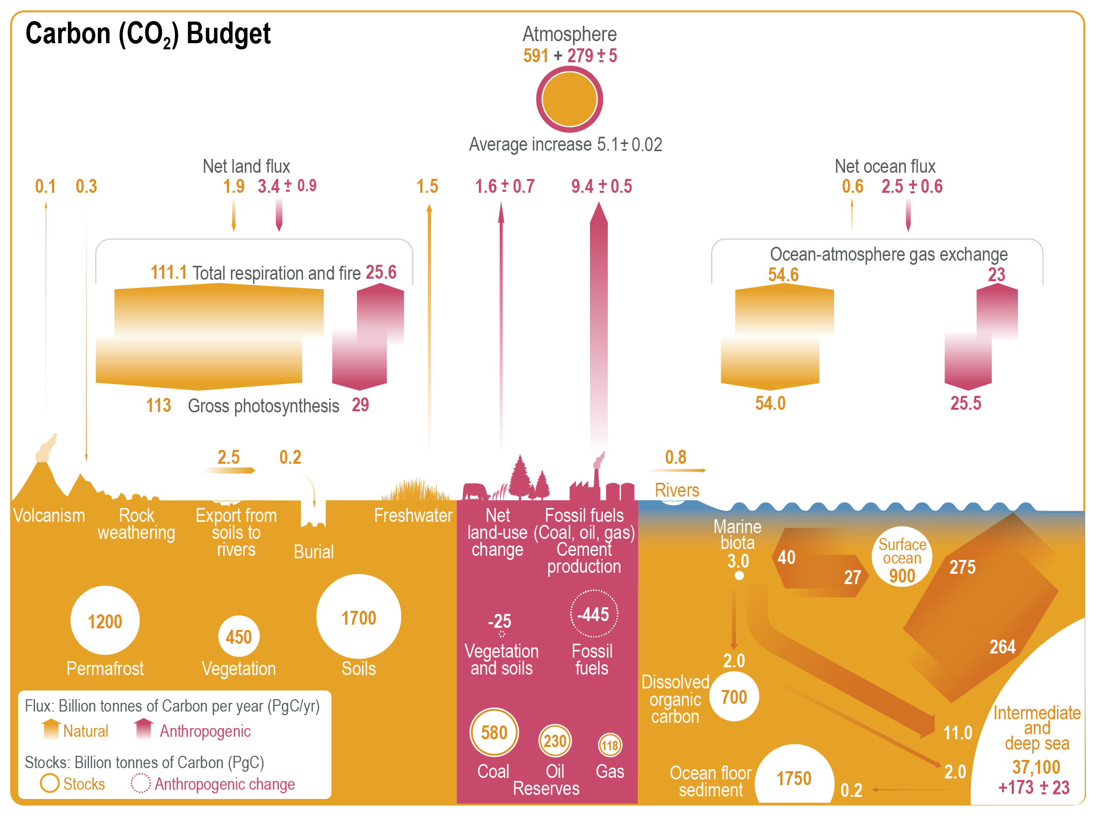 Global carbon budget
