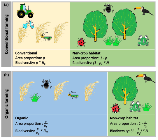 Diagram of land sparing vs land sharing